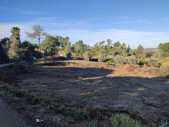 Terreno Agricola ou Rústico para Venda em Asseiceira Foto 5