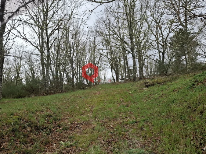 Terreno para Venda em Sabugal e Aldeia de Santo António Foto 3
