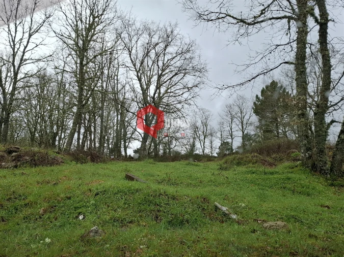 Terreno para Venda em Sabugal e Aldeia de Santo António