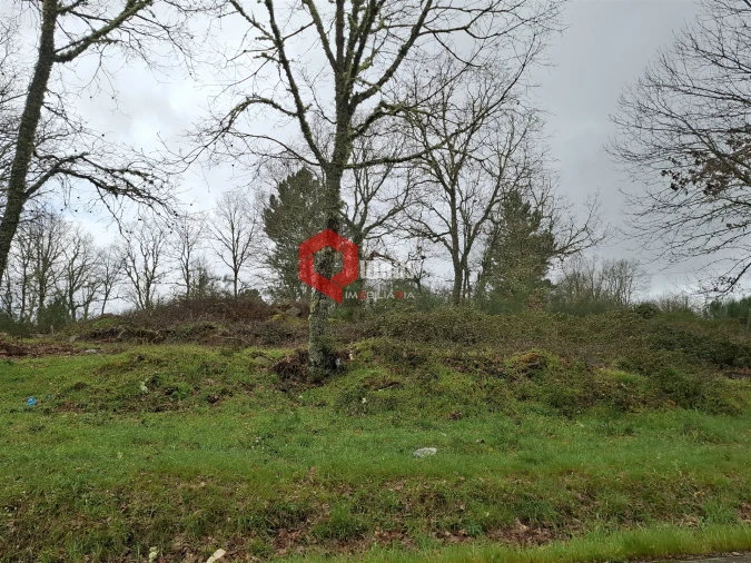Terreno para Venda em Sabugal e Aldeia de Santo António Foto 5