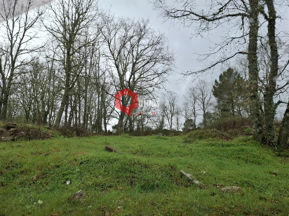 Terreno para Venda em Sabugal e Aldeia de Santo António Foto 1