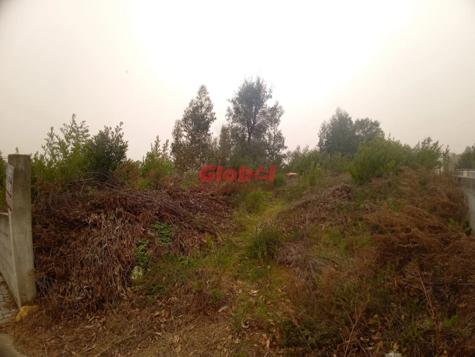Terreno Agricola ou Rústico para Venda em Cavernães Foto 5