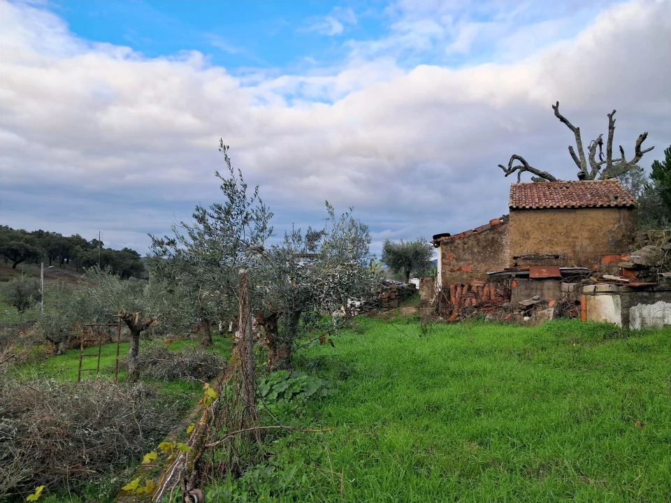 Quinta T5 para Venda em Fortios Foto 9