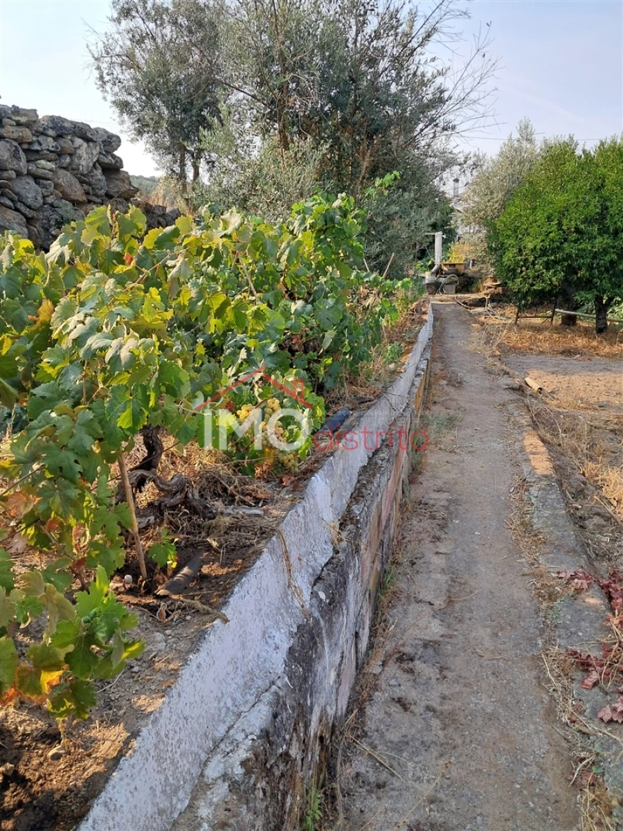 Quinta T5 para Venda em Fortios Foto 2