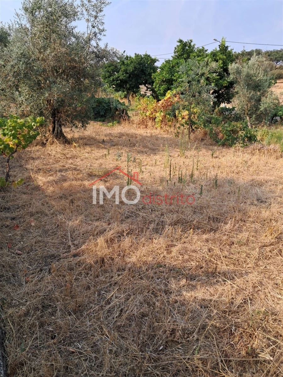 Quinta T5 para Venda em Fortios Foto 14