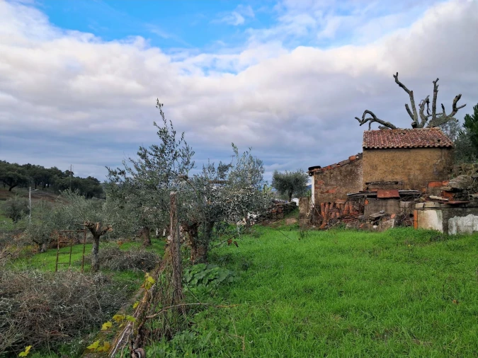 Quinta T5 para Venda em Fortios Foto 9