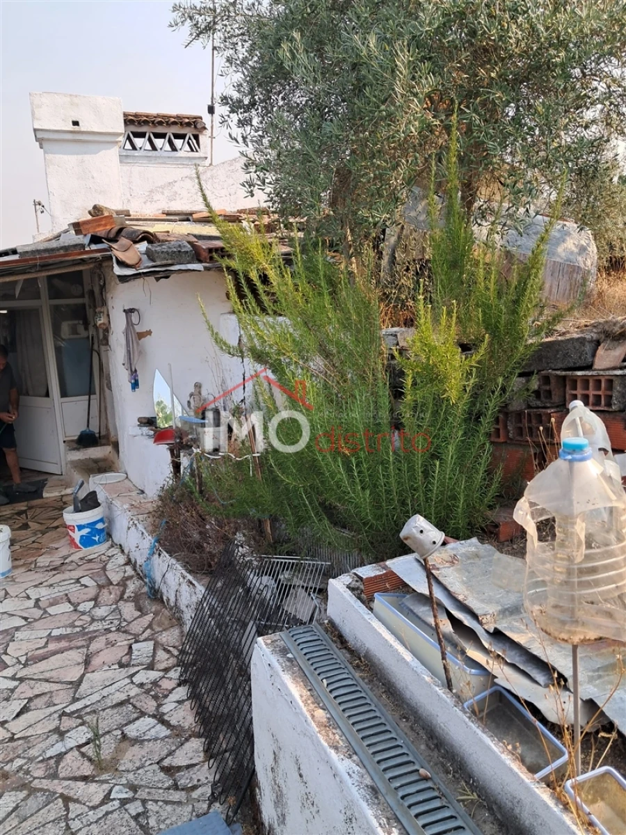 Quinta T5 para Venda em Fortios Foto 4