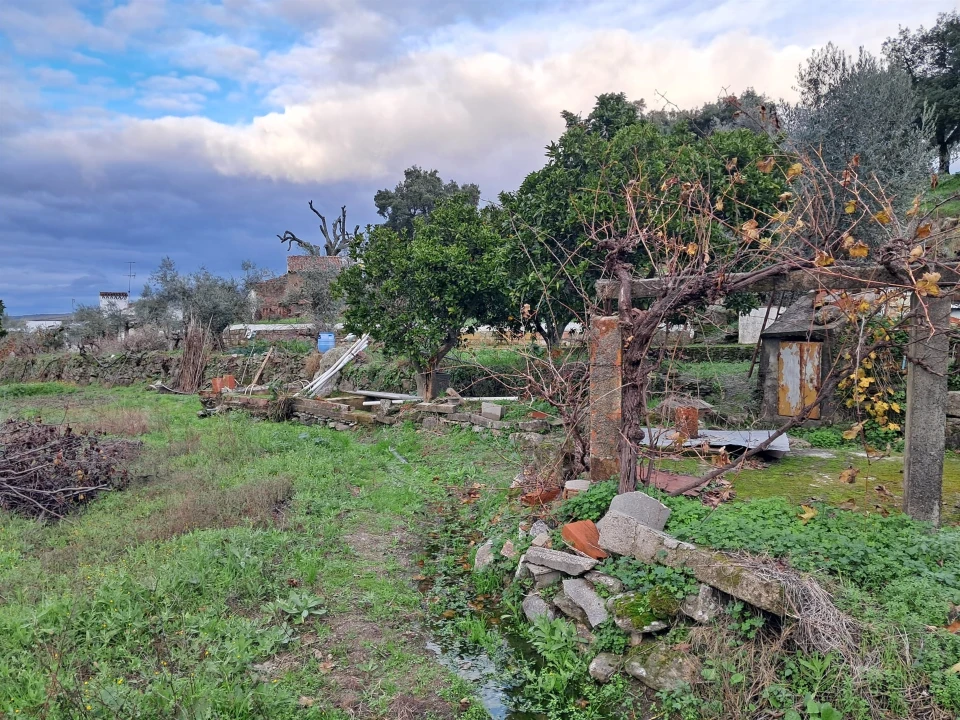 Quinta T5 para Venda em Fortios Foto 10