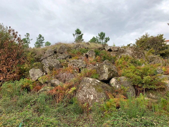 Terreno para Venda em Abraveses Foto 3