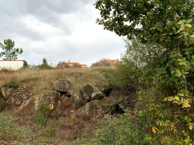 Terreno para Venda em Abraveses Foto 2