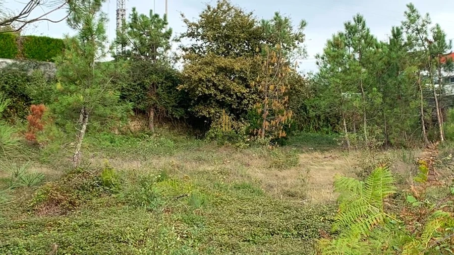 Terreno para Venda em Abraveses