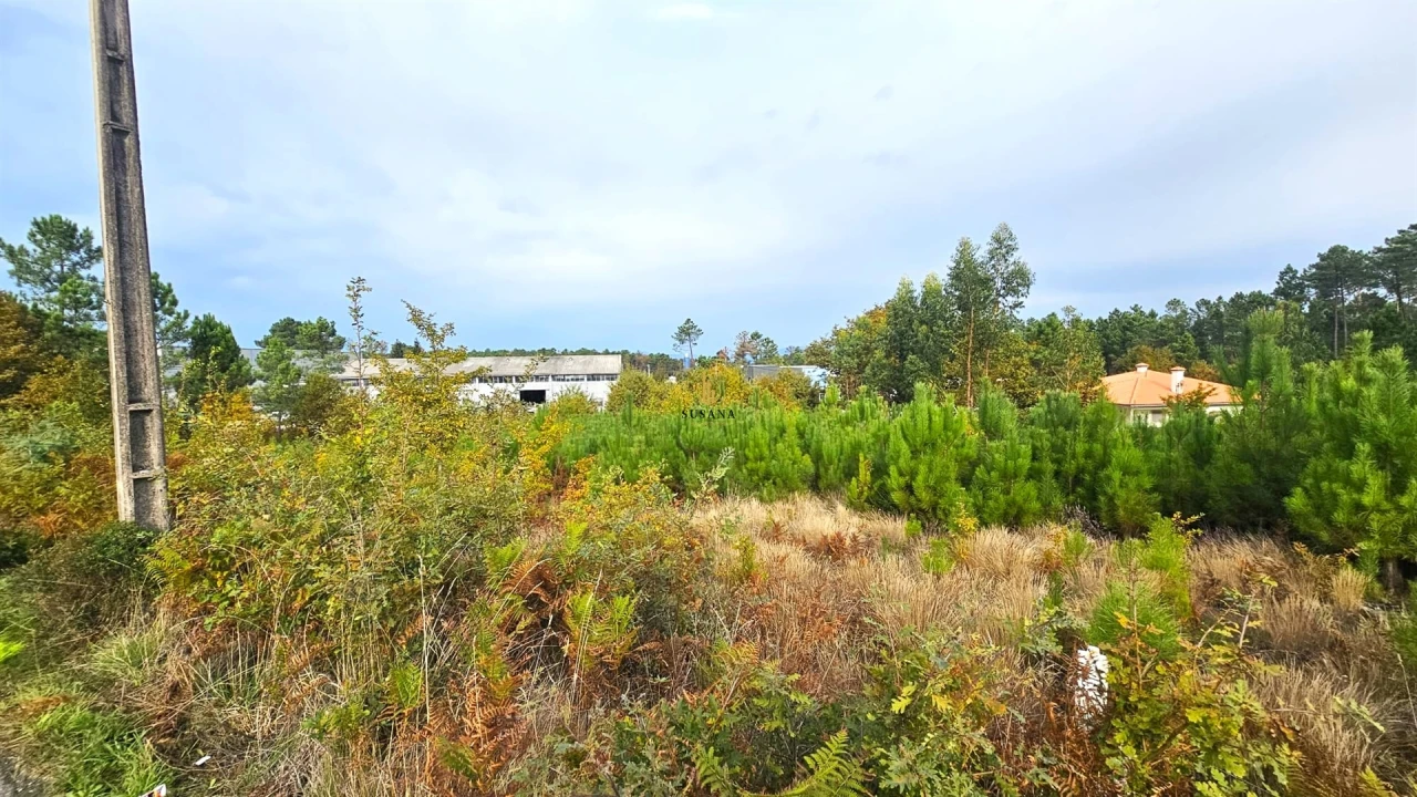 Terreno Comércio / Armazém para Venda em Campo Foto 3