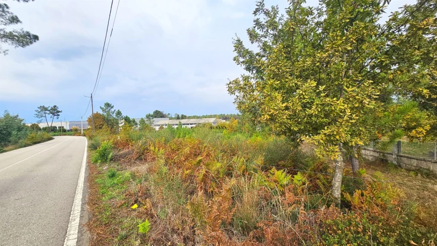 Terreno Comércio / Armazém para Venda em Campo Foto 2