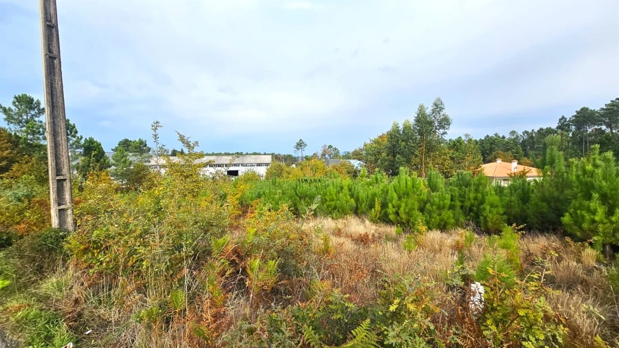 Terreno Comércio / Armazém para Venda em Campo Foto 3