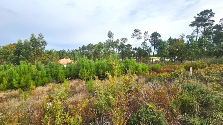 Terreno Comércio / Armazém para Venda em Campo