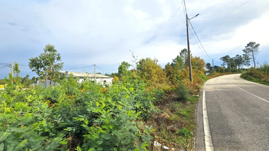 Terreno Comércio / Armazém para Venda em Campo Foto 4
