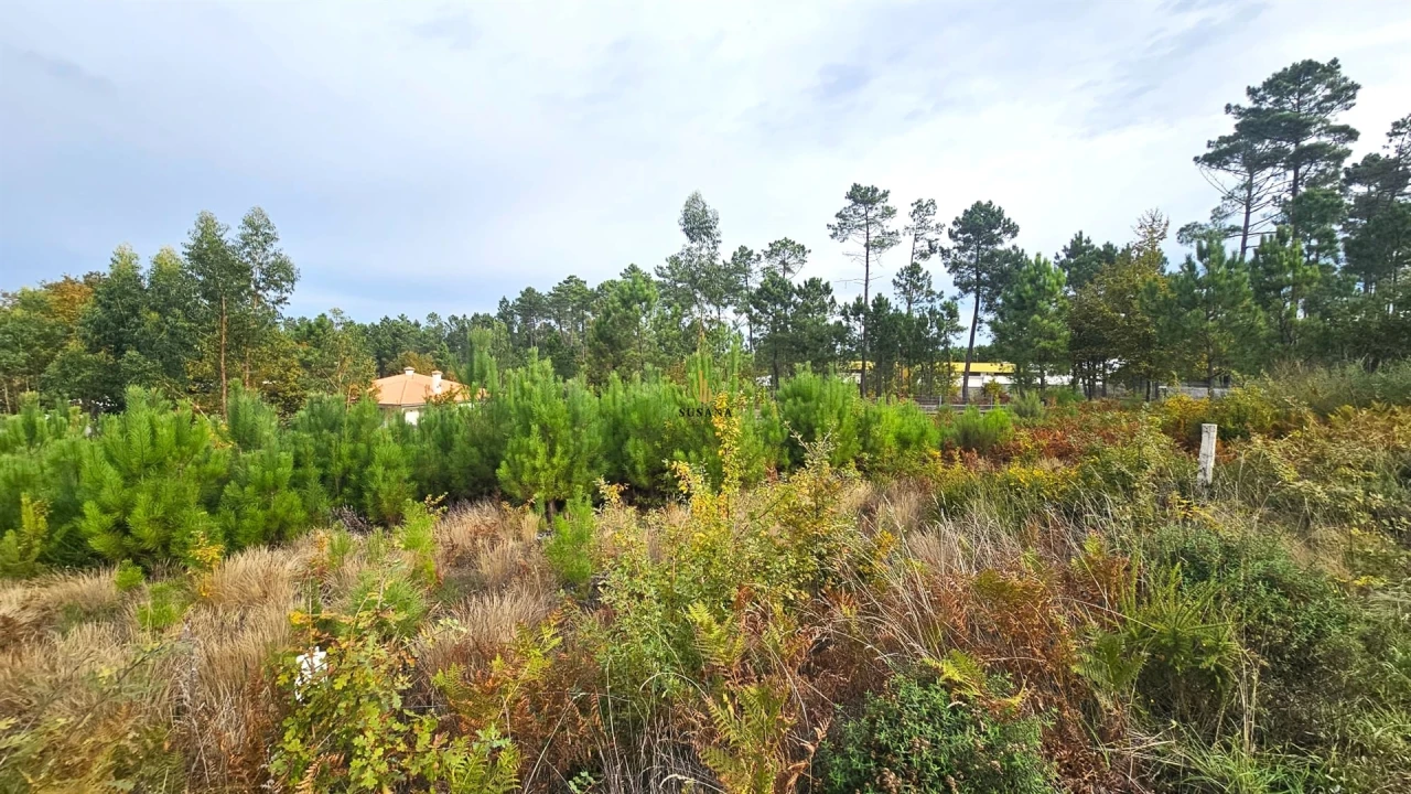 Terreno Comércio / Armazém para Venda em Campo Foto 1