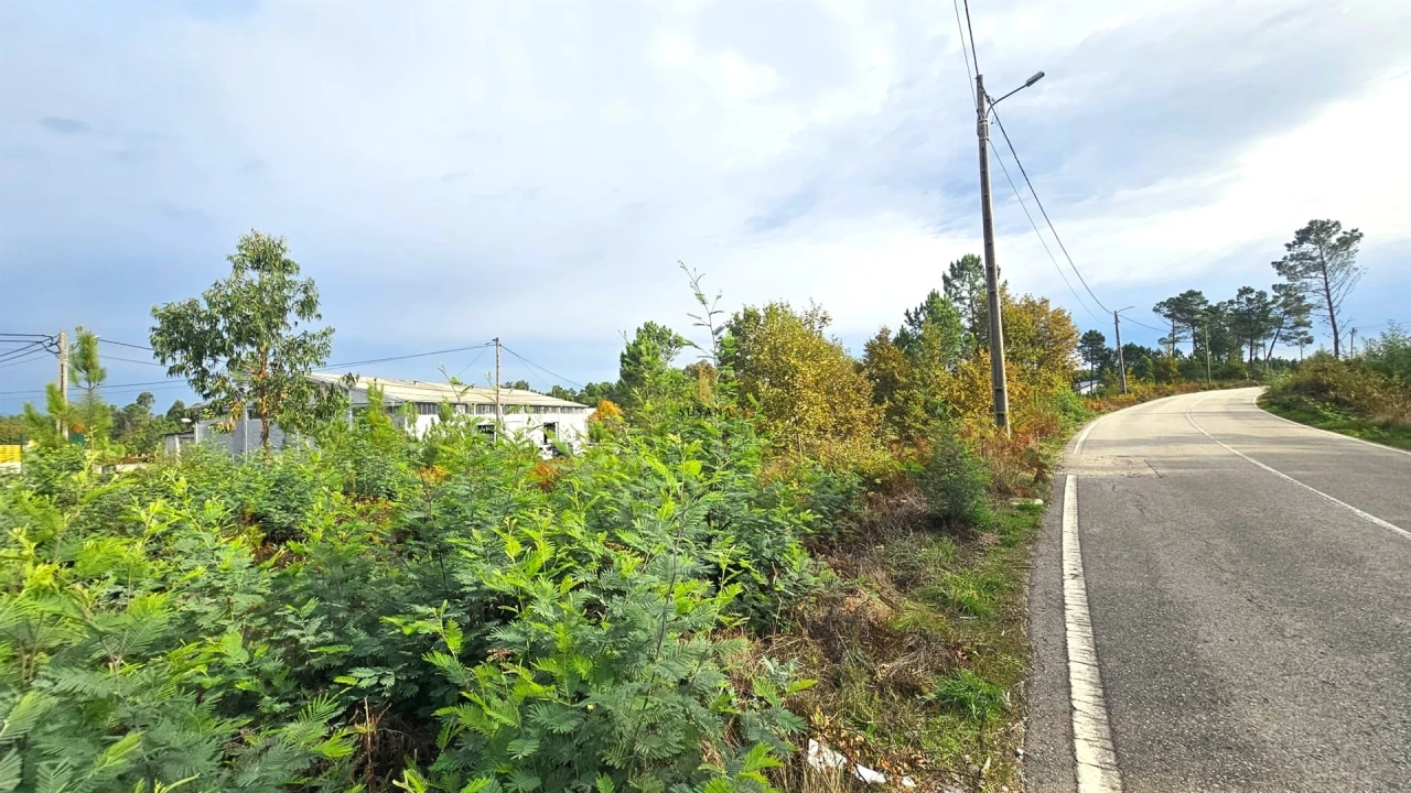 Terreno Comércio / Armazém para Venda em Campo Foto 4
