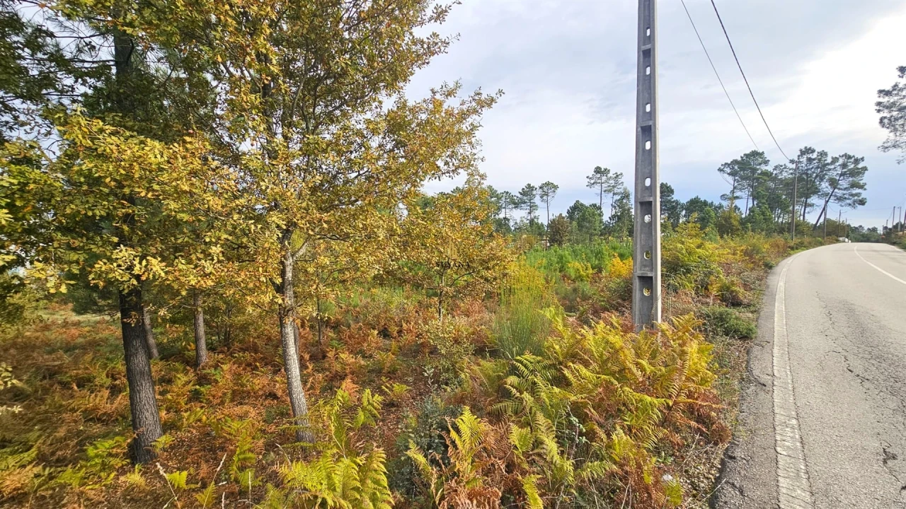 Terreno Comércio / Armazém para Venda em Campo Foto 5