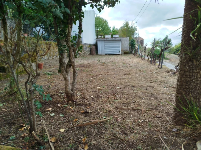 Apartamento T2 para Venda em Gouveia (São Pedro e São Julião) Foto 9