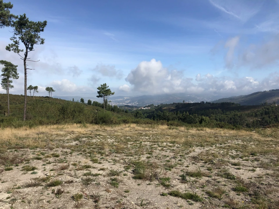 Terreno para Venda em Lustosa e Barrosas (Santo Estêvão) Foto 6
