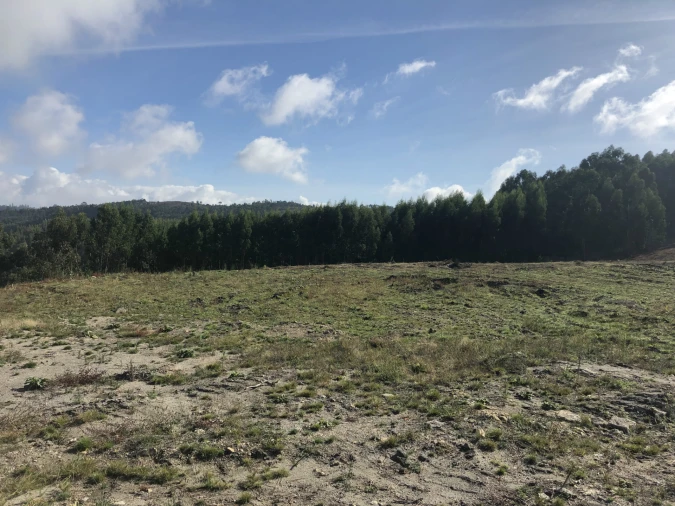 Terreno para Venda em Lustosa e Barrosas (Santo Estêvão) Foto 4
