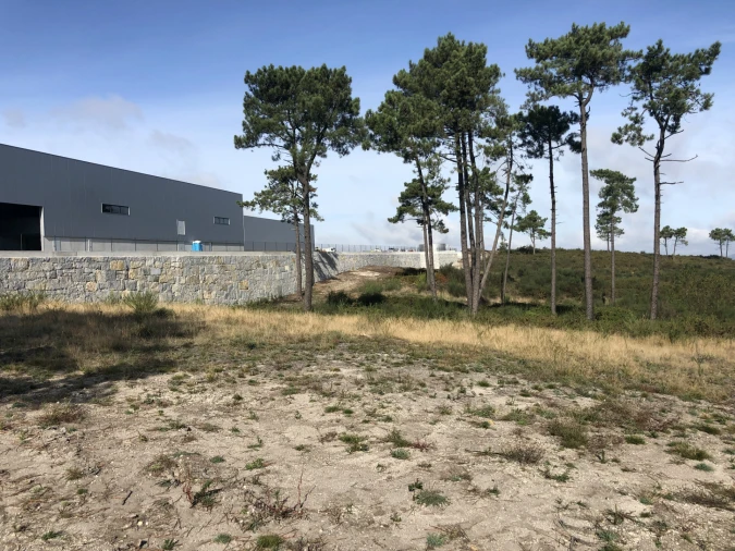 Terreno para Venda em Lustosa e Barrosas (Santo Estêvão) Foto 5