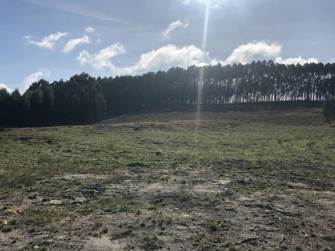 Terreno para Venda em Lustosa e Barrosas (Santo Estêvão) Foto 3