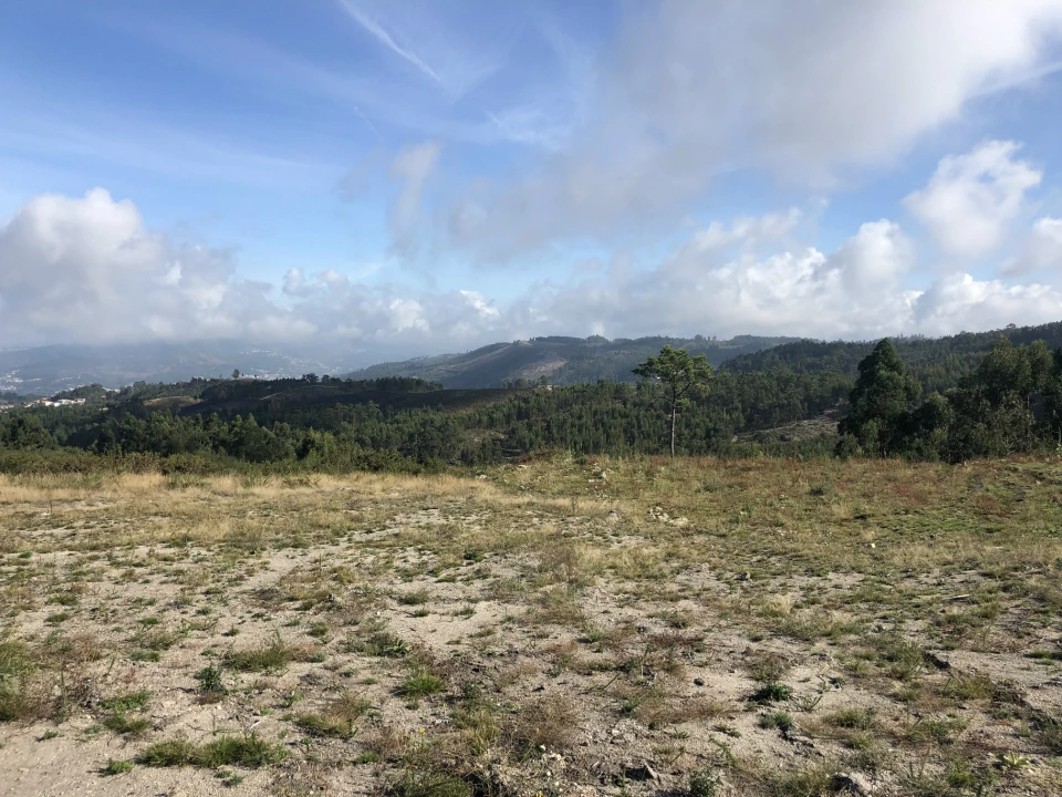 Terreno para Venda em Lustosa e Barrosas (Santo Estêvão) Foto 7