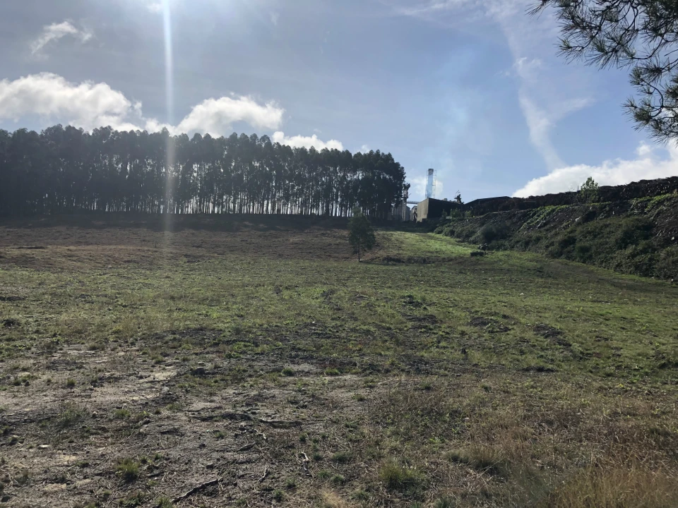 Terreno para Venda em Lustosa e Barrosas (Santo Estêvão) Foto 2