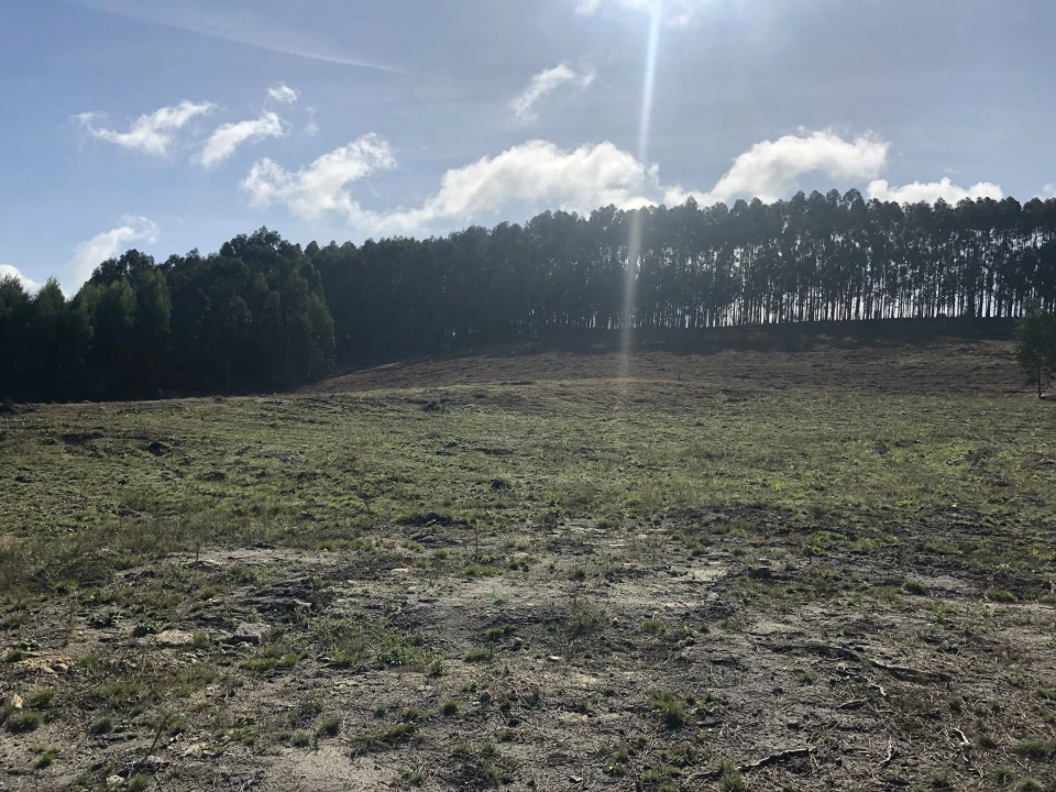 Terreno para Venda em Lustosa e Barrosas (Santo Estêvão) Foto 3