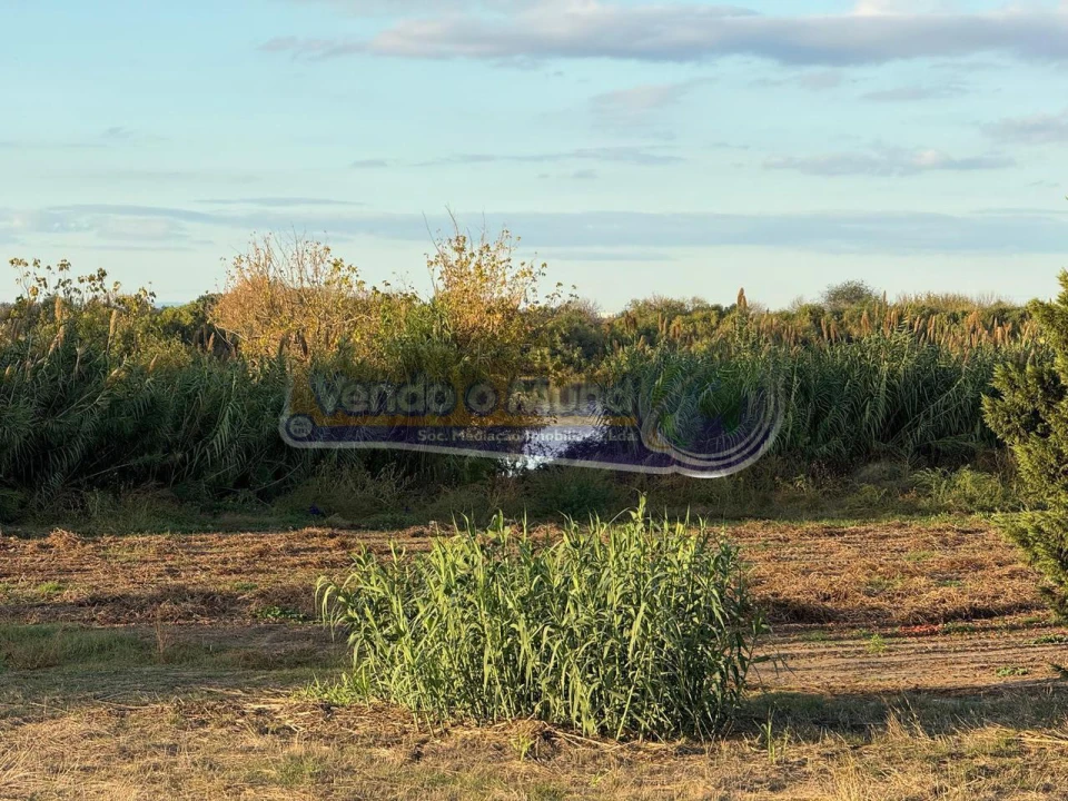 Terreno para Venda em Salvaterra de Magos e Foros de Salvaterra Foto 4