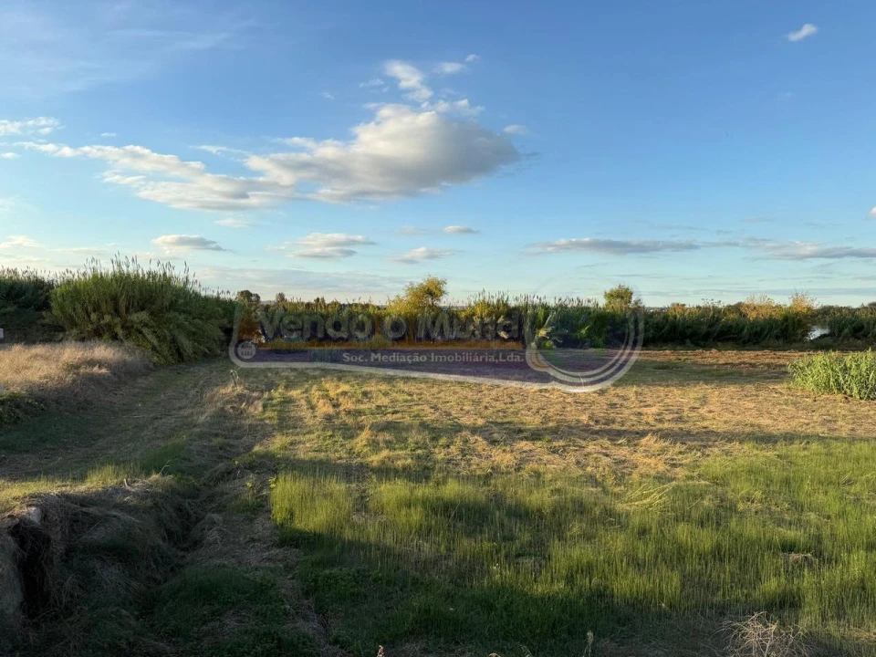 Terreno para Venda em Salvaterra de Magos e Foros de Salvaterra Foto 2