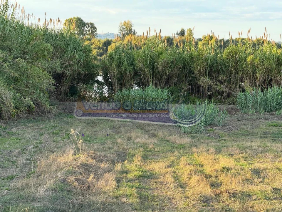 Terreno para Venda em Salvaterra de Magos e Foros de Salvaterra Foto 10