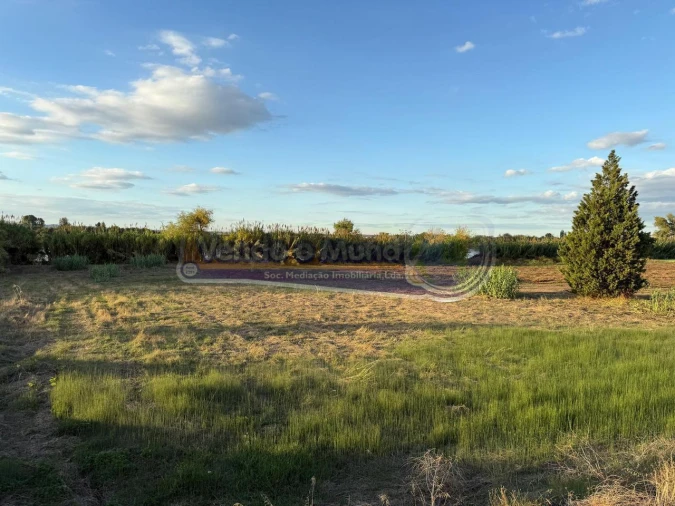 Terreno para Venda em Salvaterra de Magos e Foros de Salvaterra Foto 3