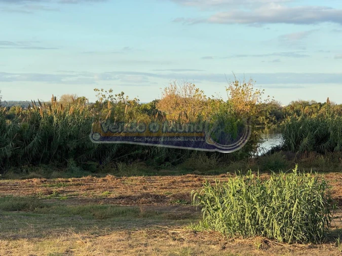 Terreno para Venda em Salvaterra de Magos e Foros de Salvaterra Foto 8