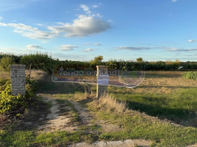 Terreno para Venda em Salvaterra de Magos e Foros de Salvaterra Foto 1