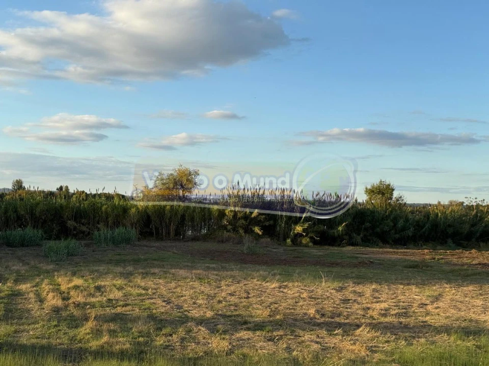 Terreno para Venda em Salvaterra de Magos e Foros de Salvaterra Foto 6