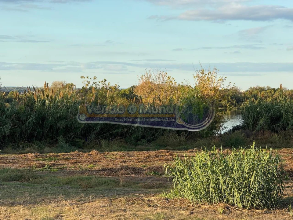 Terreno para Venda em Salvaterra de Magos e Foros de Salvaterra Foto 8