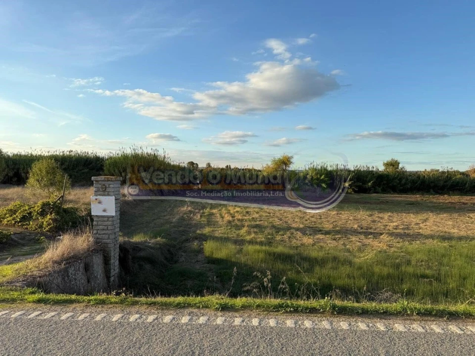 Terreno para Venda em Salvaterra de Magos e Foros de Salvaterra Foto 5