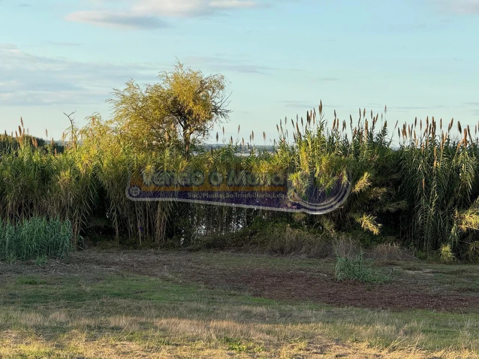 Terreno para Venda em Salvaterra de Magos e Foros de Salvaterra Foto 7