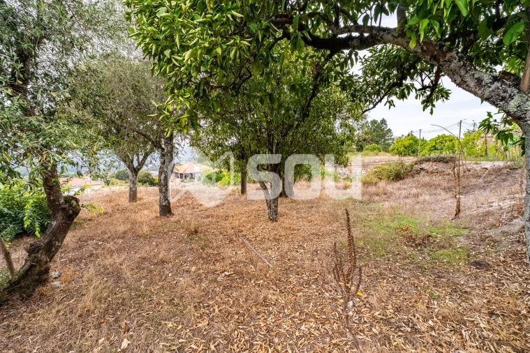 Moradia T0 para Venda em Tabuado Foto 14