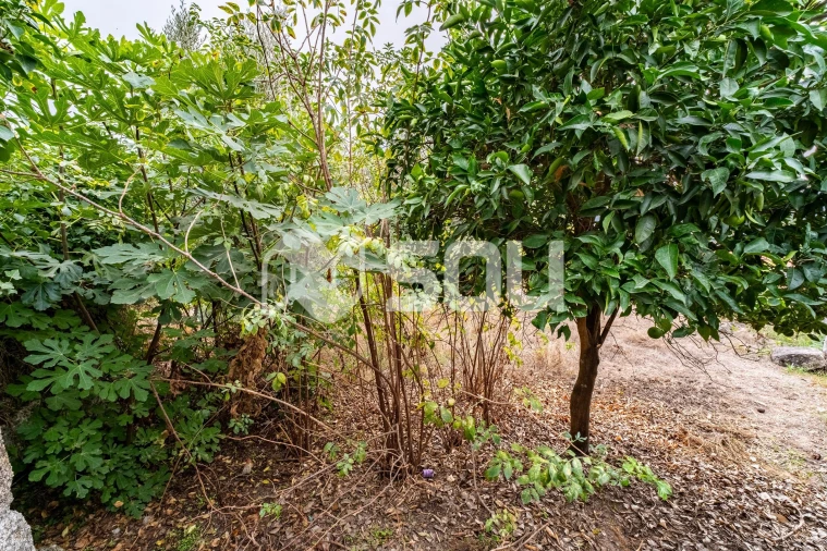 Moradia T0 para Venda em Tabuado Foto 18