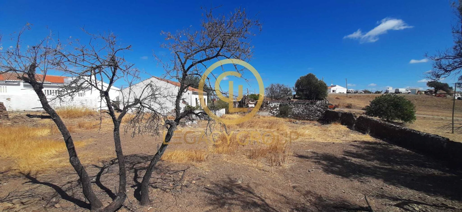 Quinta T5 para Venda em Azinhal Foto 13