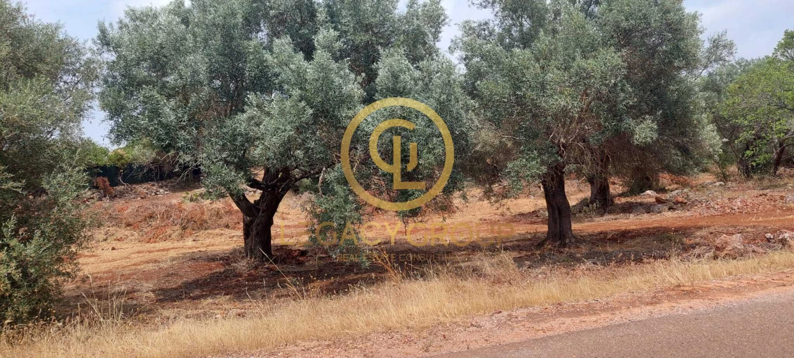 Terreno para Venda em Alte Foto 8