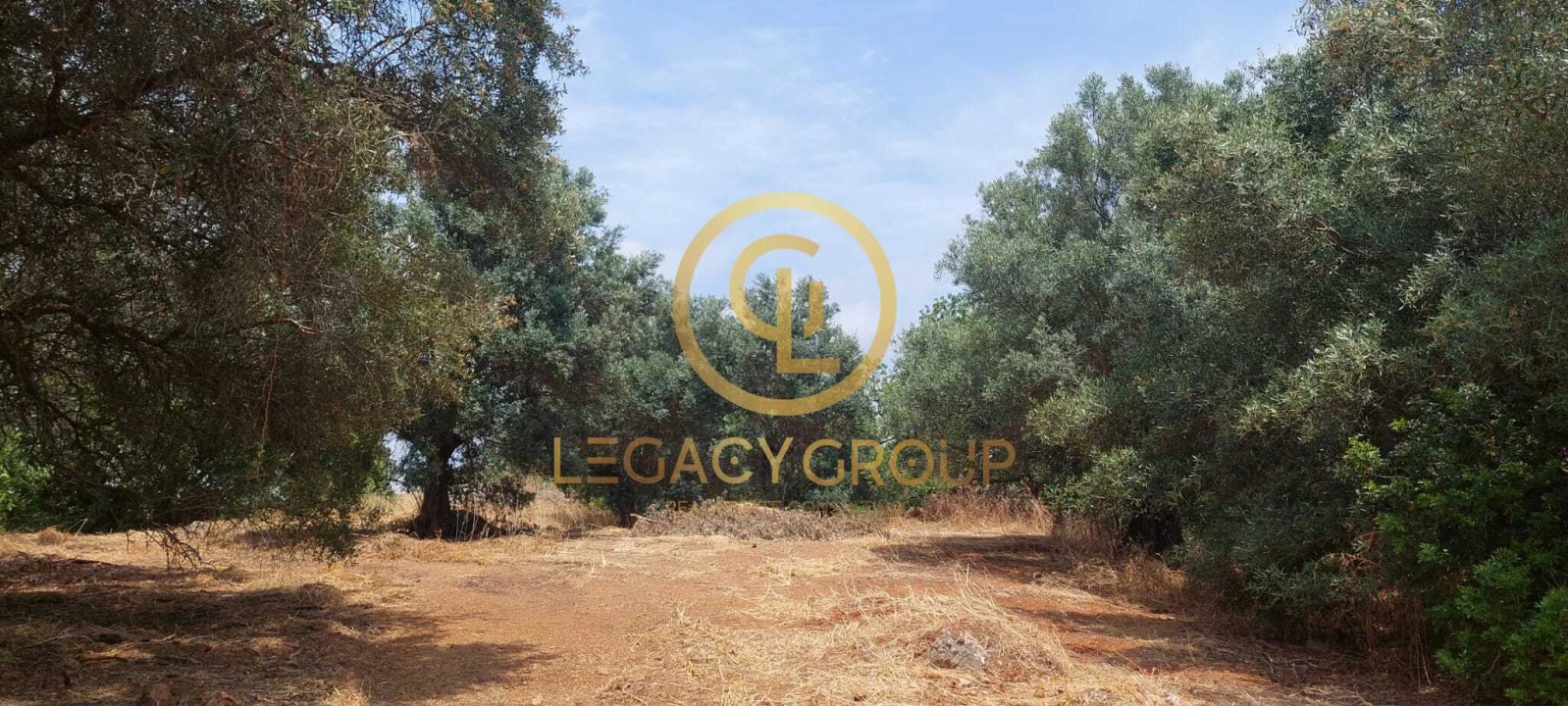 Terreno para Venda em Alte Foto 20