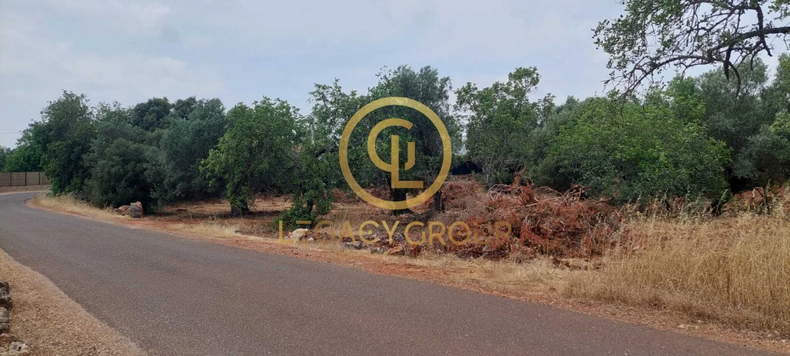 Terreno para Venda em Alte Foto 4