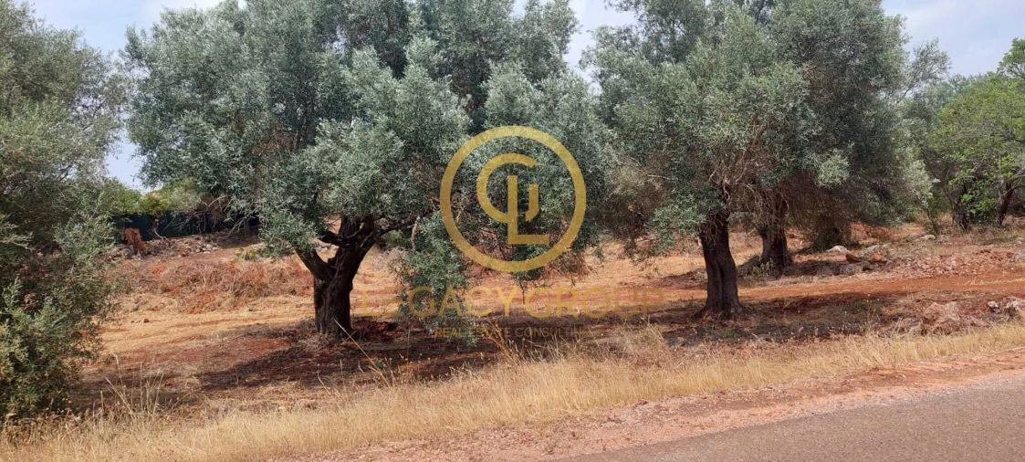 Terreno para Venda em Alte Foto 8