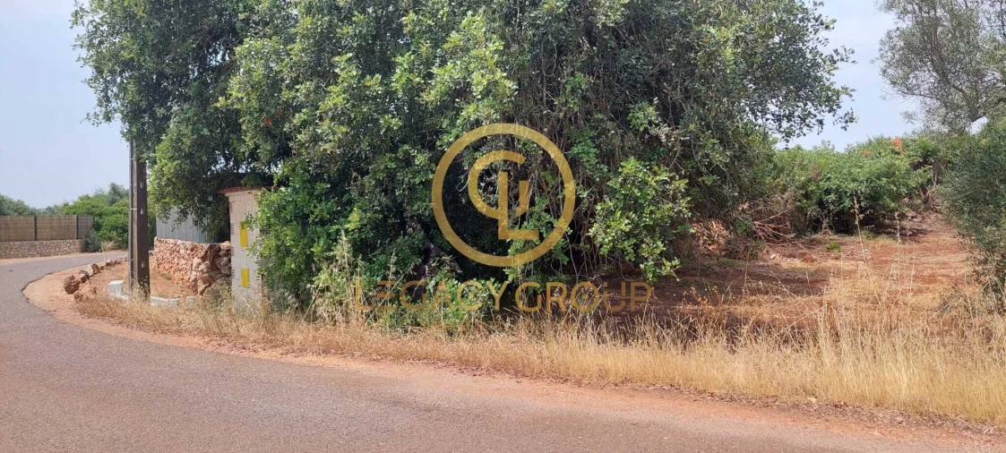 Terreno para Venda em Alte Foto 9