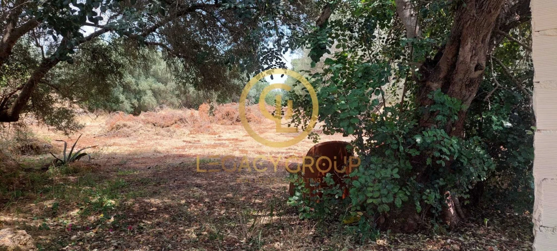 Terreno para Venda em Alte Foto 11